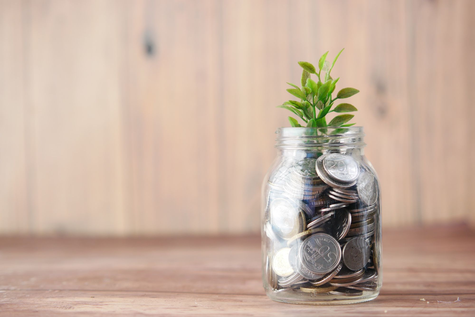 a small glass jar filled with coins and a small green sapling sprouting from the middle